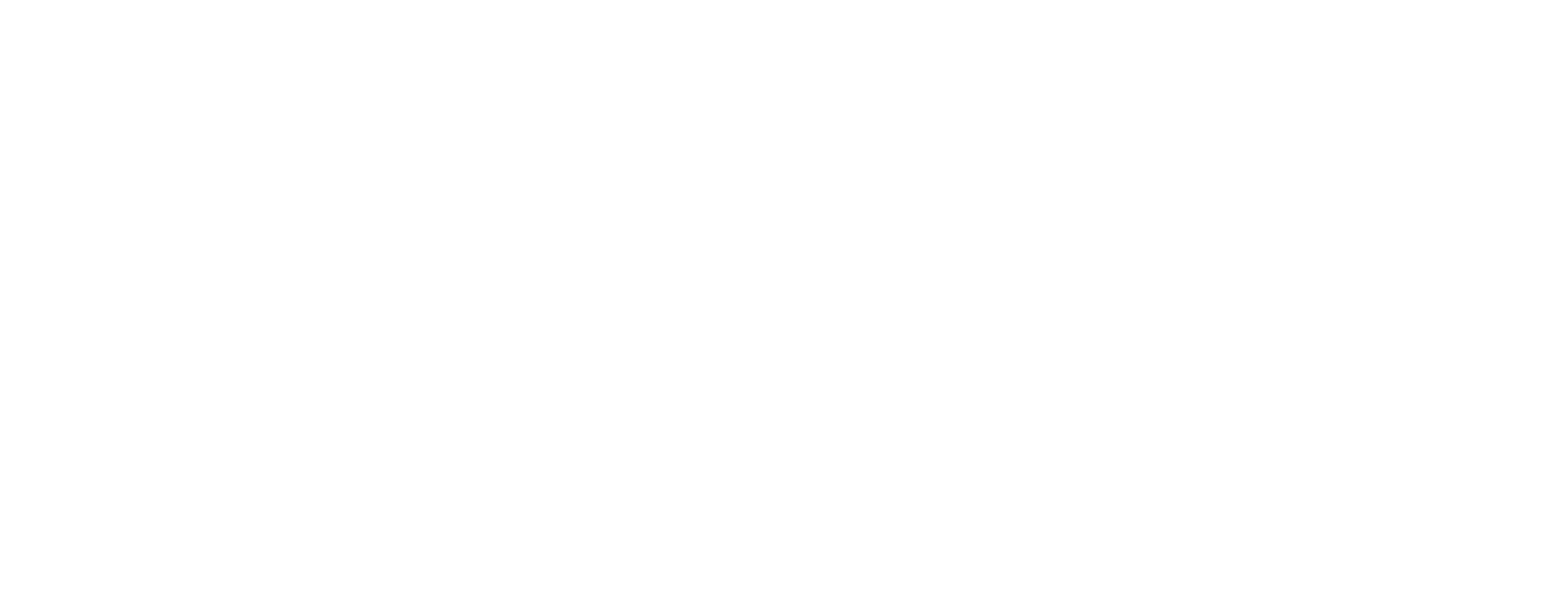 Magna Windows